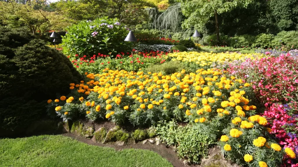 3. Butchart Gardens